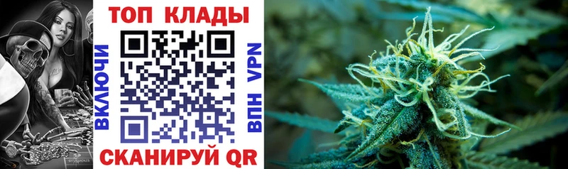 Все наркотики Новороссийск COCAIN  гидра ССЫЛКА  Гашиш  Каннабис  Меф  A PVP  Амфетамин 