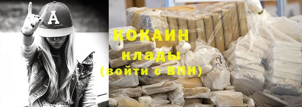 мдпв Богородицк