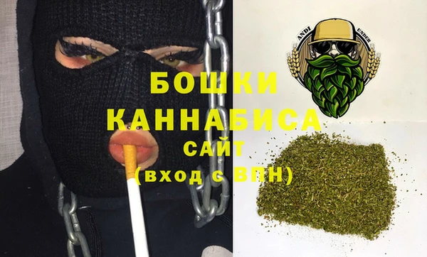 мдпв Богородицк