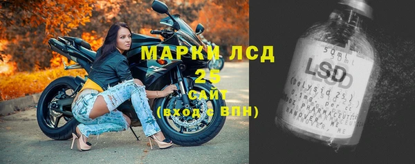 мдпв Богородицк