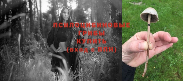 мдпв Богородицк