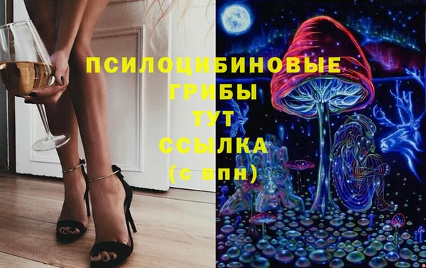 мдпв Богородицк