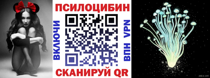 omg ссылки  Новороссийск  Псилоцибиновые грибы Cubensis 